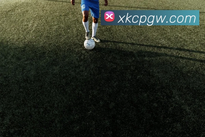 星空彩票平台生态图